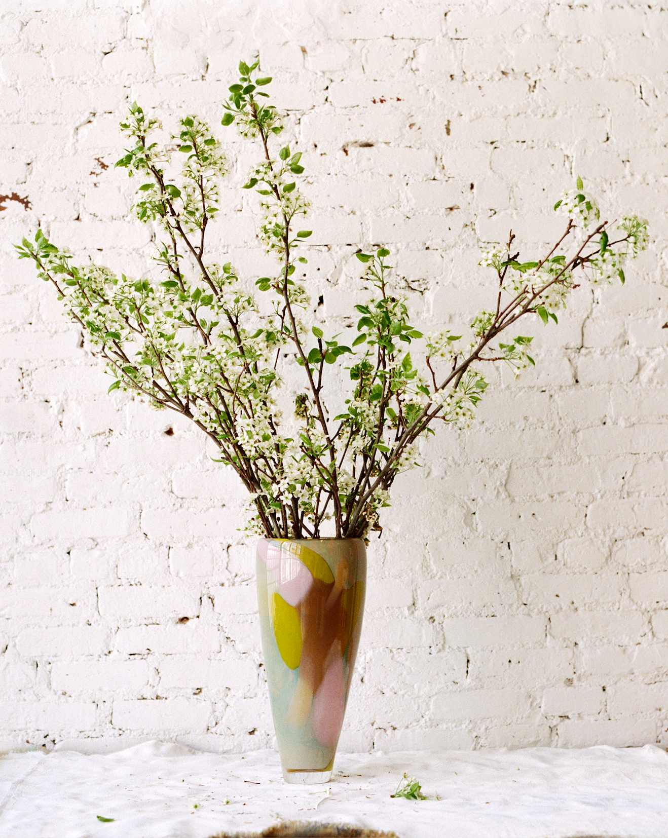 Vase in Dahlia
