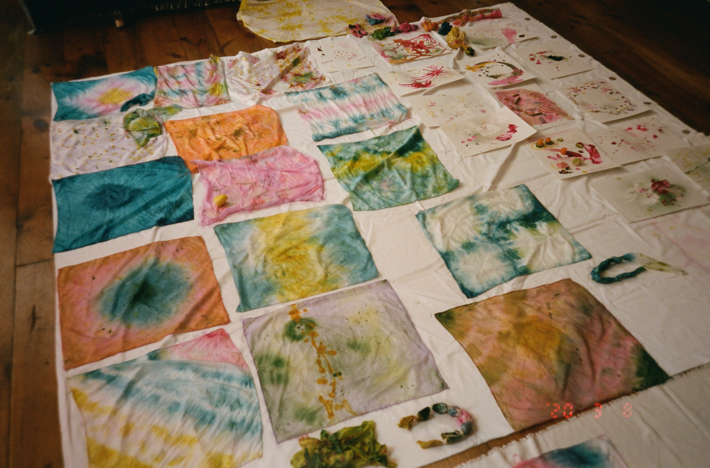 Natural Dye Workshop -9/20