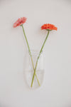 Wall Vase in Clear