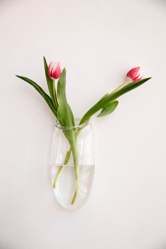 Wall Vase in Clear