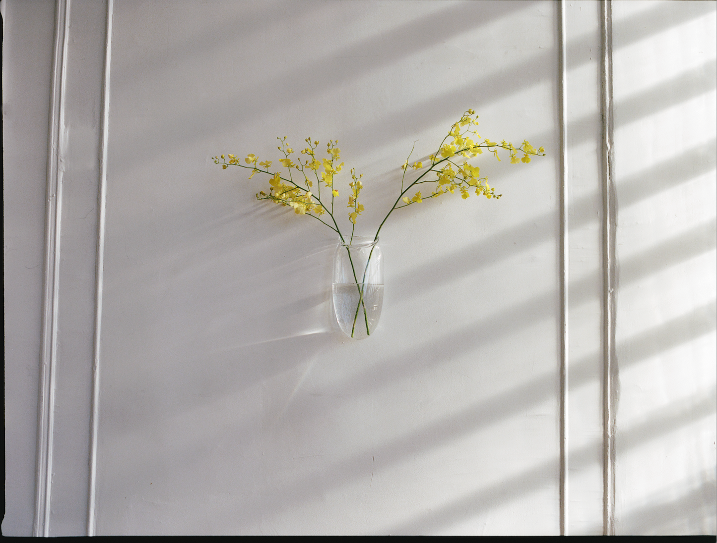 Wall Vase in Clear