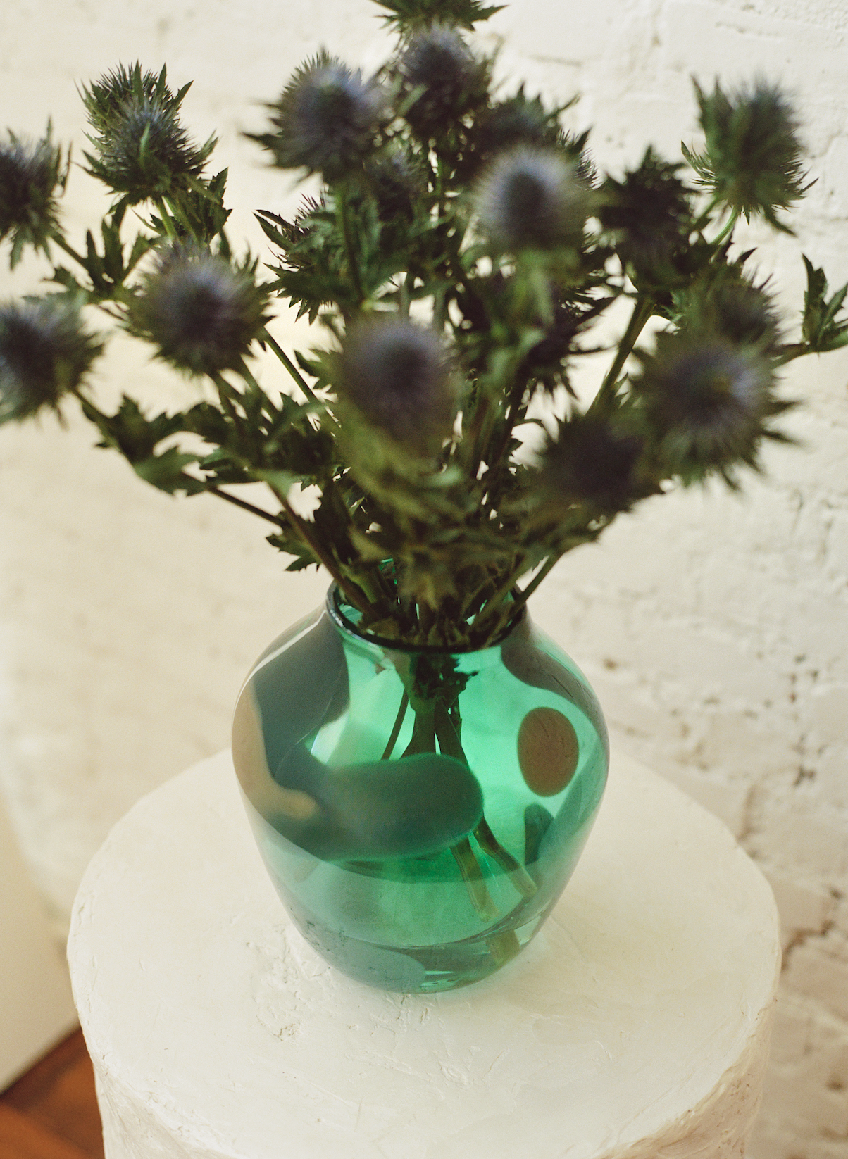 morning glory vase