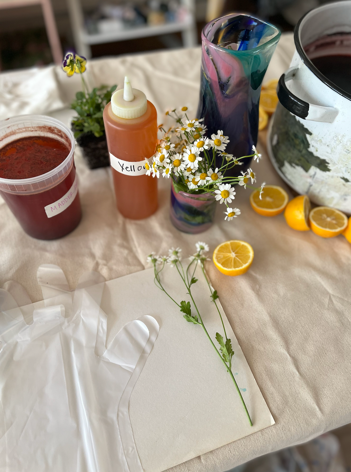 Natural Dye Workshop - TBD