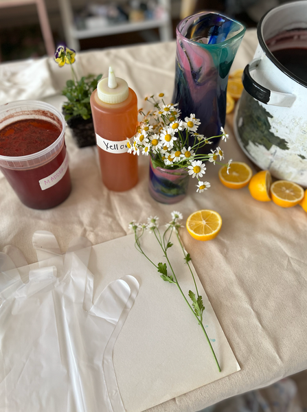 Color Sessions Dye Workshop October 11th